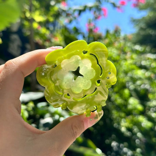 三雏菊中型毛爪