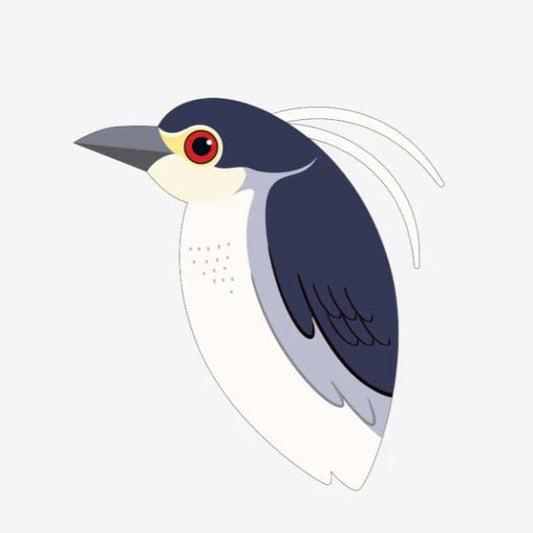 Night Heron HandBag | Lemonschunks