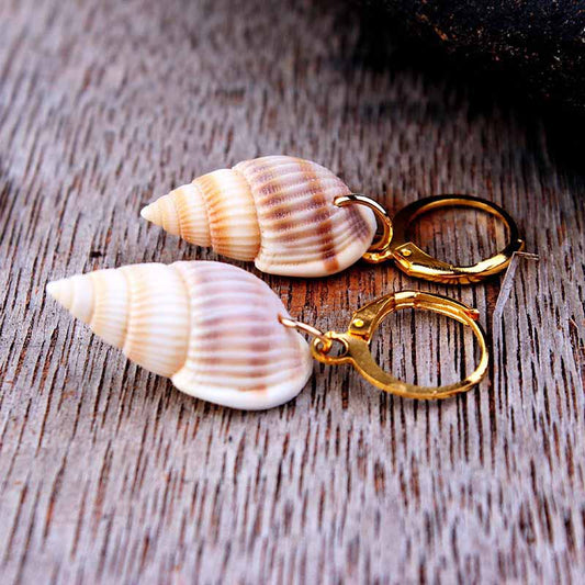 Brown Spiral Shell Earrings