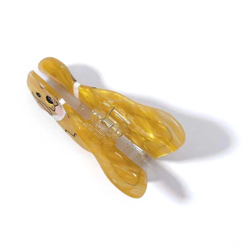 金毛寻回犬聪明的狗毛爪丨NueShiny