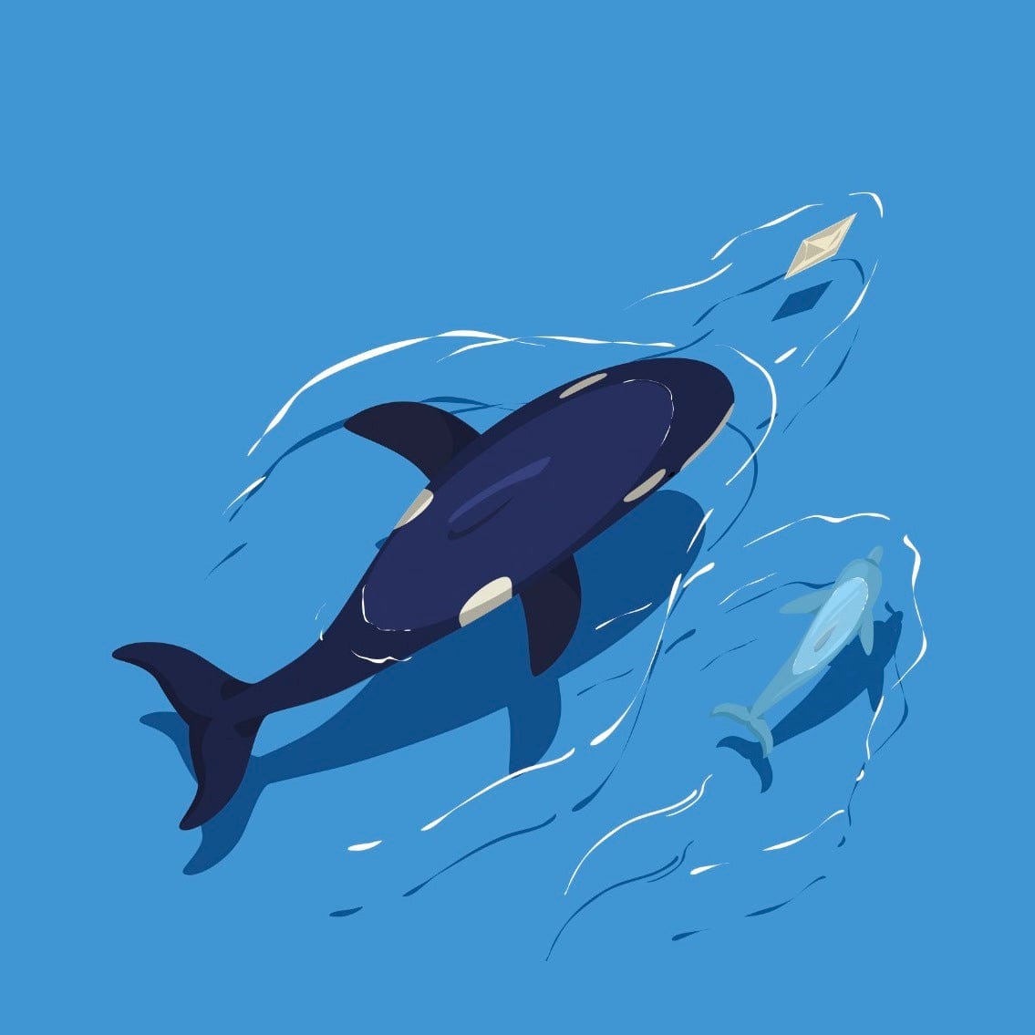 Orca Drawstring Bag | Lemonschunks