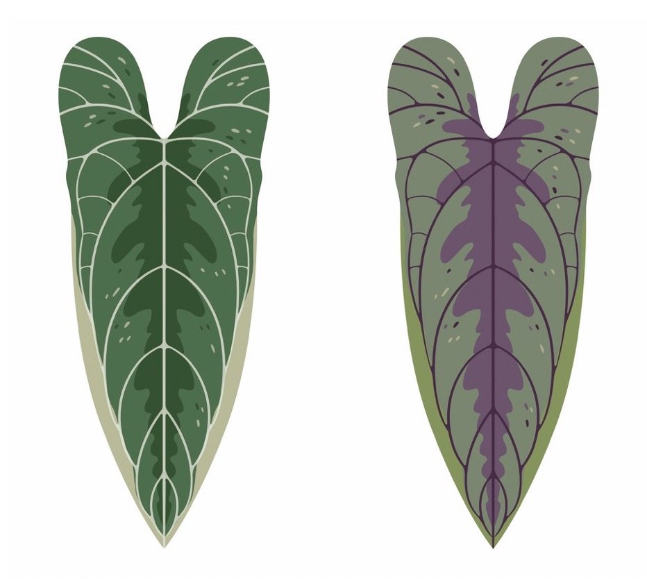 Leaf Coin Pouch & Mini Storage Bag