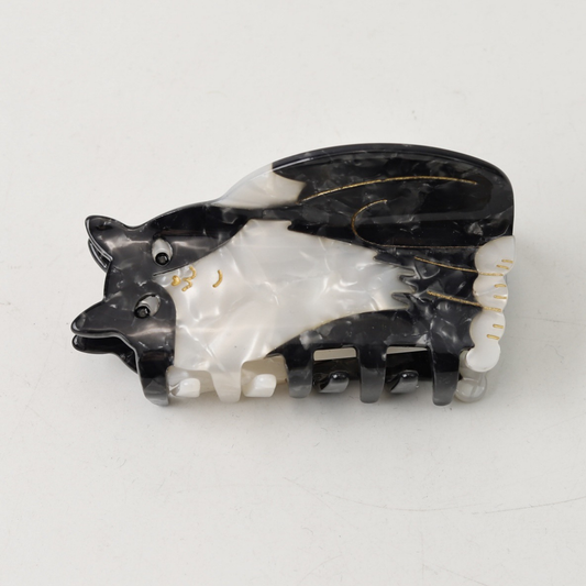 Medium Black White Maine Coon Cat Hair Claw