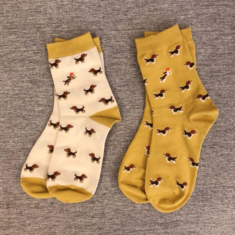 Chaussettes orange foncé pour teckel | NueShiny