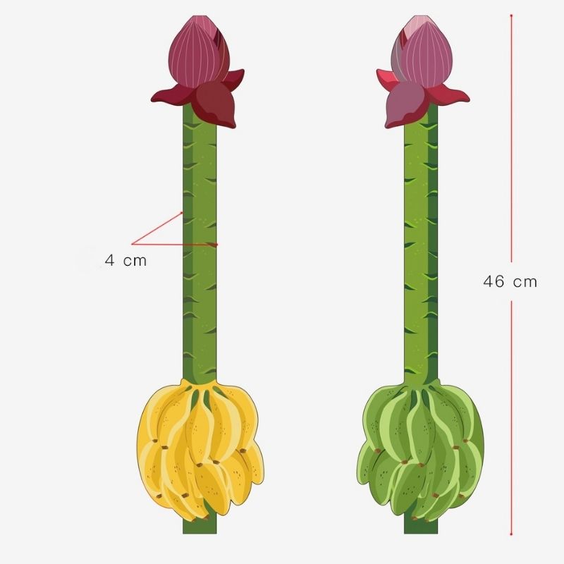 Botanical Series Wristlet + Card Case丨Lemonschunks