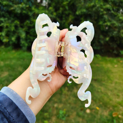 白章鱼毛爪