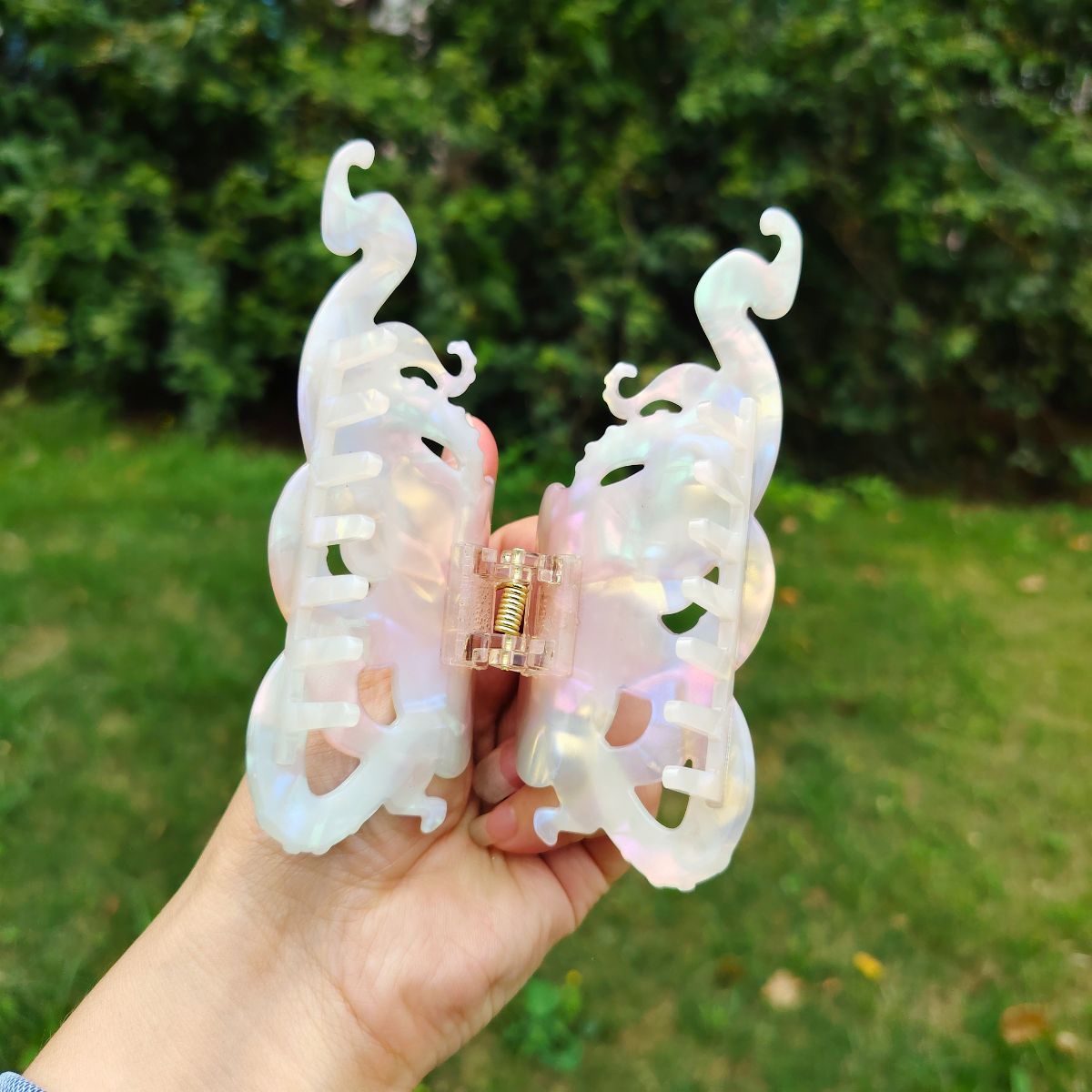 白章鱼毛爪