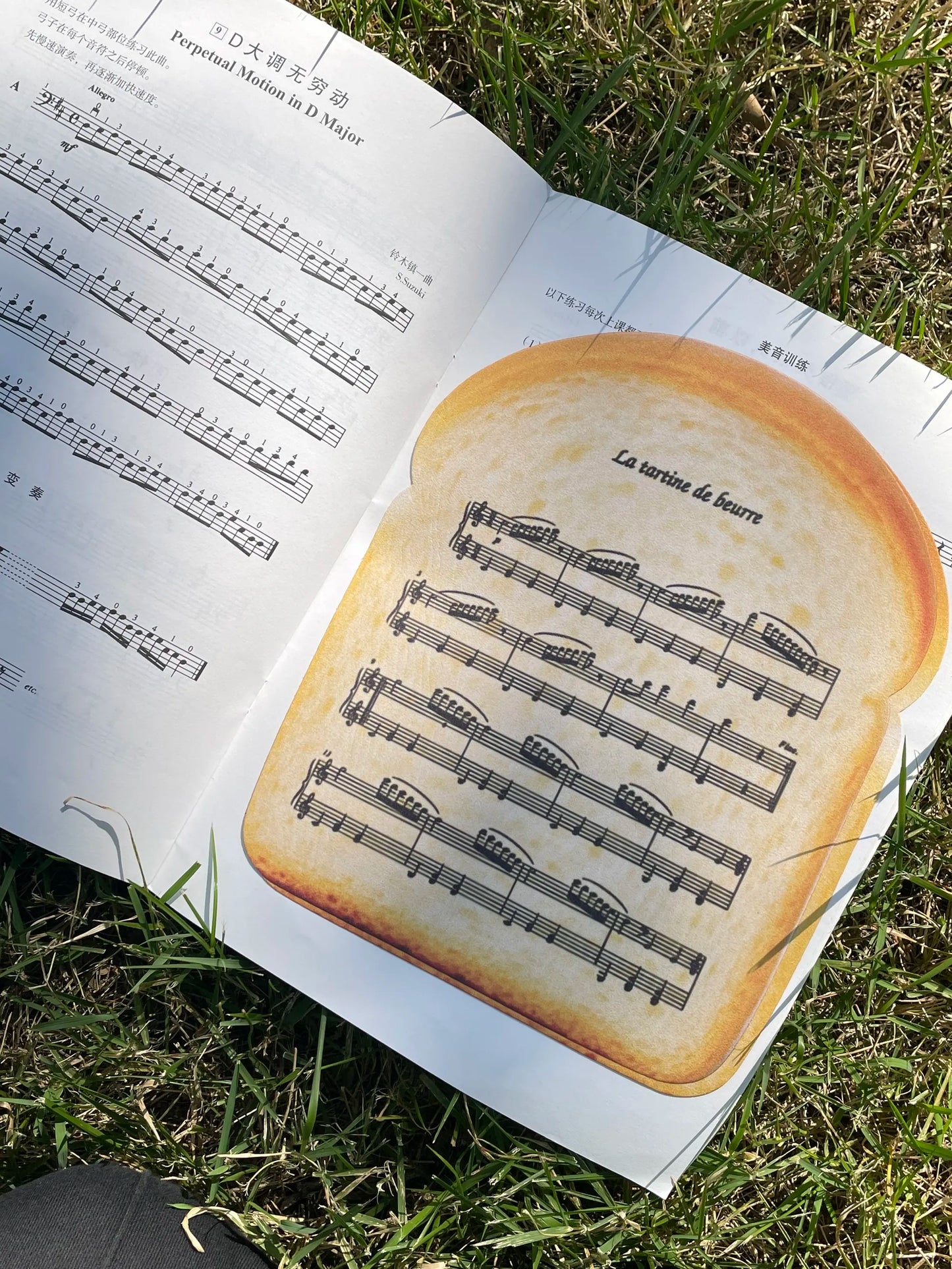 La Tartine de Beurre Mozart Music Polishing Cloth