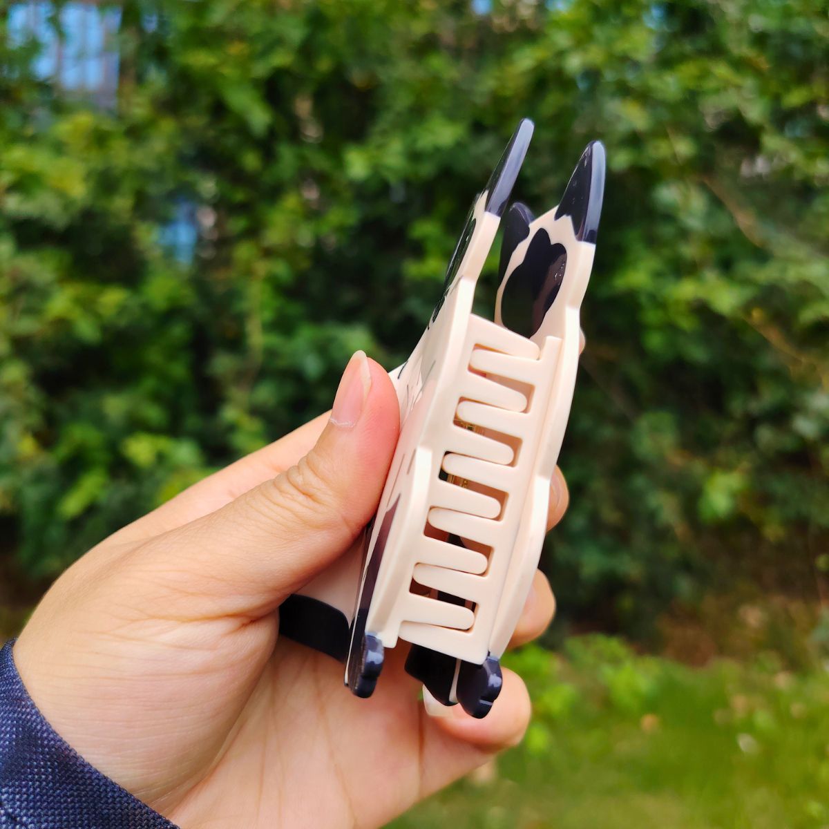 Medium Seal Point Siamese Cat Hair Claw