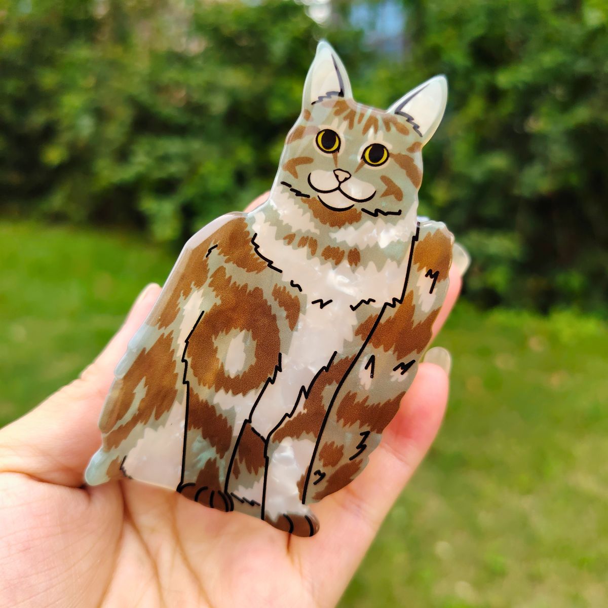 Medium Brown Tabby & White American Shorthair Cat Hair Claw