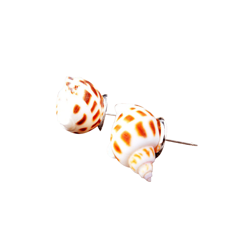 Sliver Flower Conch Earrings