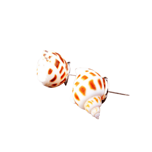 Sliver Flower Conch Earrings