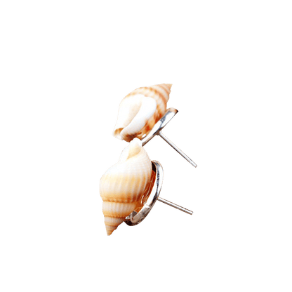 Sliver Little Pointed Conch Earrings