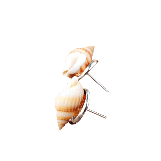 Sliver Little Pointed Conch Earrings