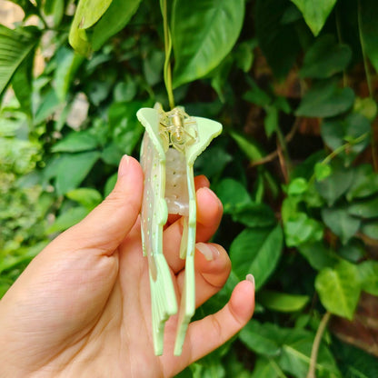 快乐的中型小蓝卡通鱼毛爪