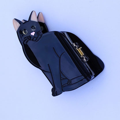可爱的中号黑白牛毛猫爪
