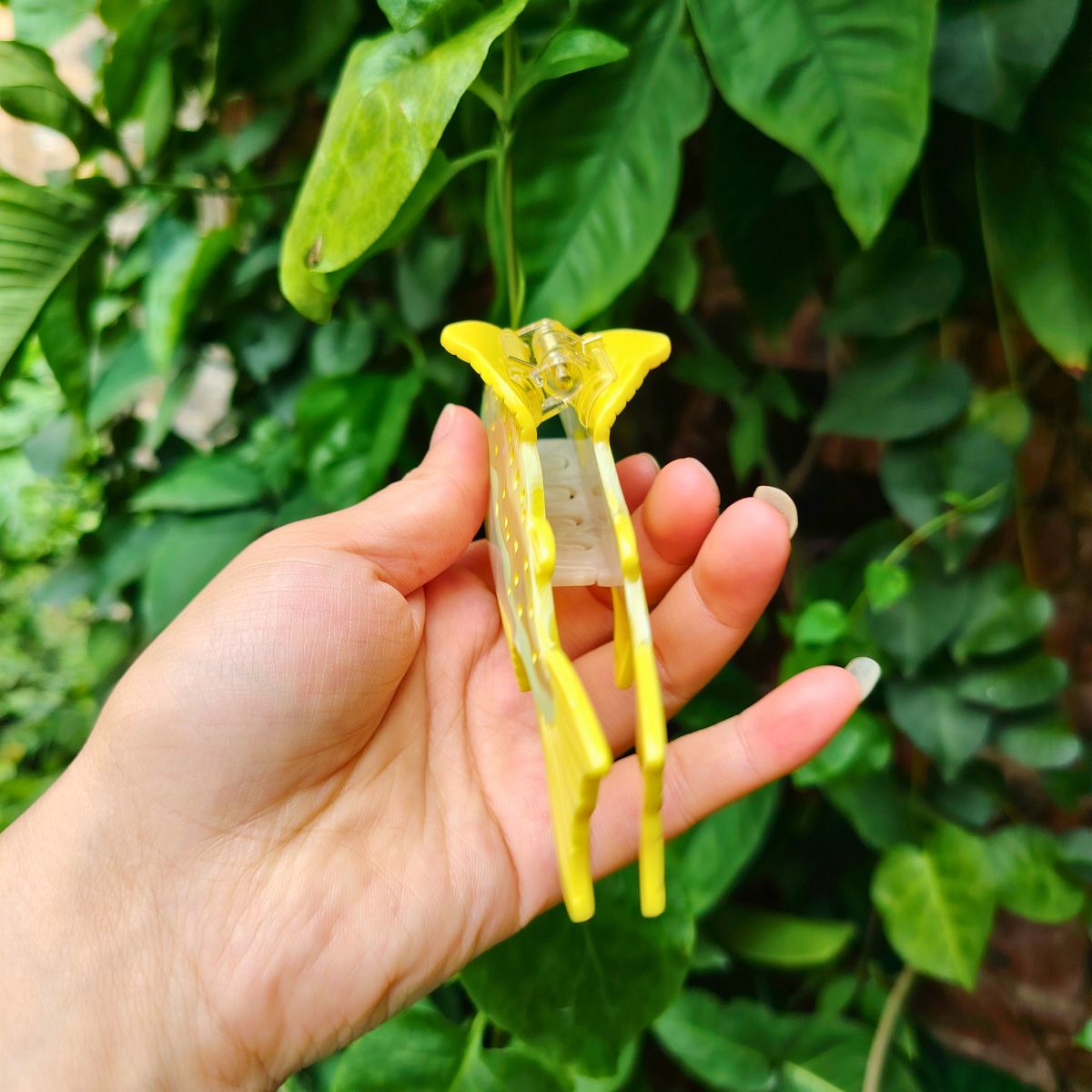 快乐的中型小蓝卡通鱼毛爪