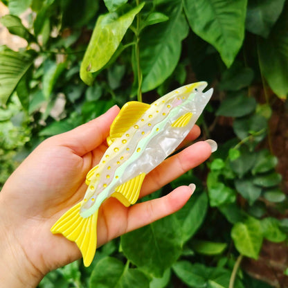 快乐的中型小蓝卡通鱼毛爪