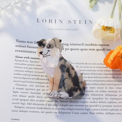 Australian Shepherd Dog Lab Hair Claw丨Lemonschunks