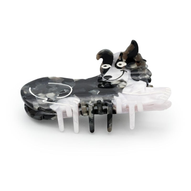Border Collie Dog Claw