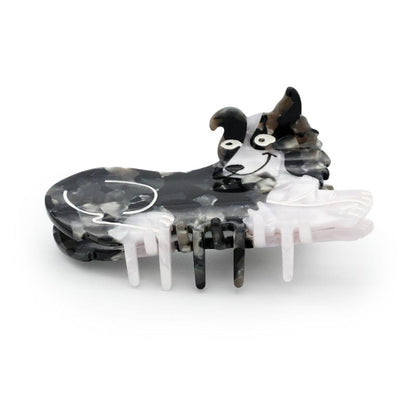 Border Collie Dog Claw