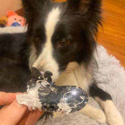 Border Collie Dog Claw