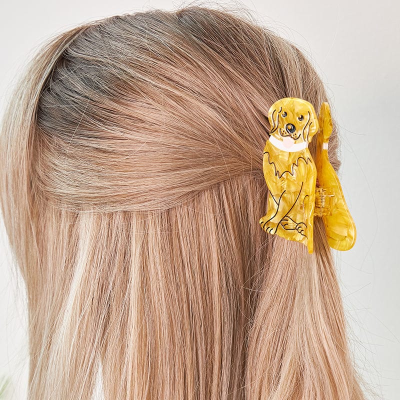 金毛寻回犬聪明的狗毛爪丨NueShiny