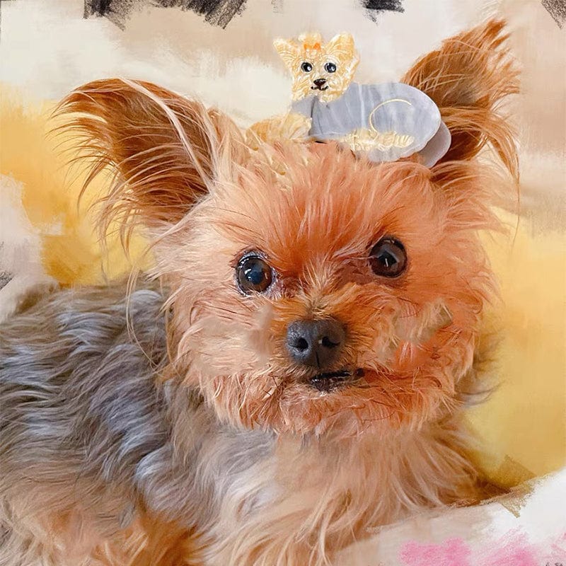 Yorkshire Terrier Dog Hair Claw