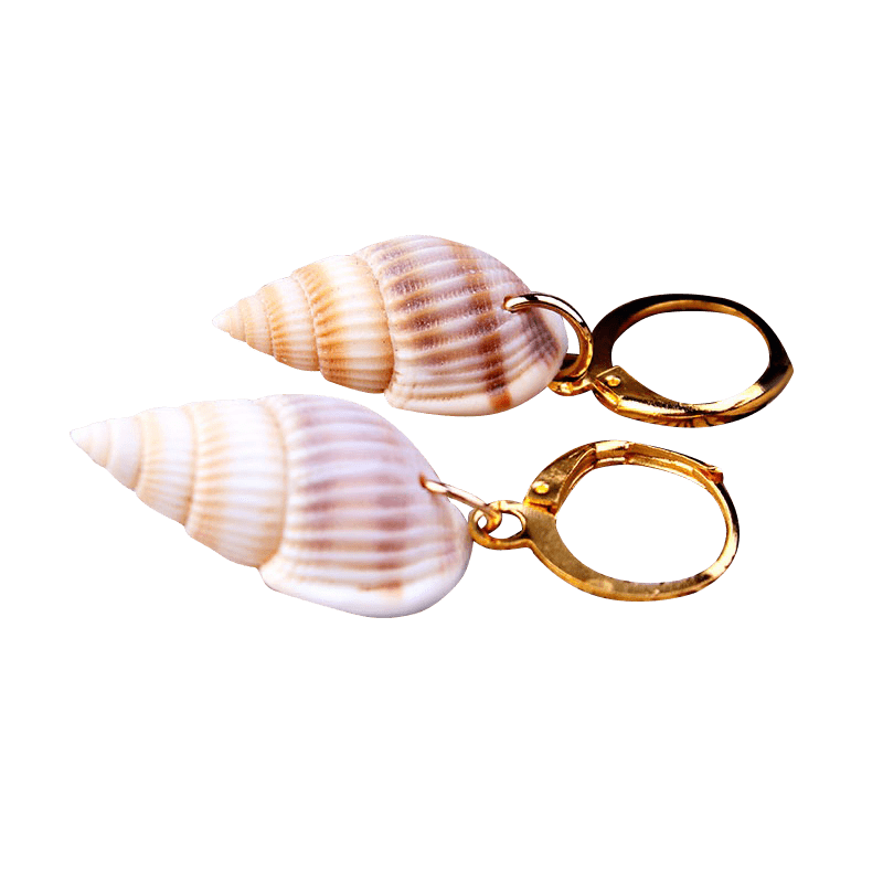 Brown Spiral Shell Earrings