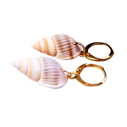 Brown Spiral Shell Earrings