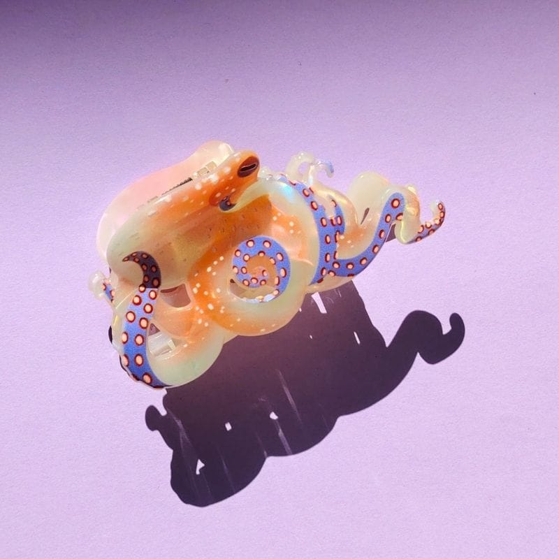 白章鱼毛爪