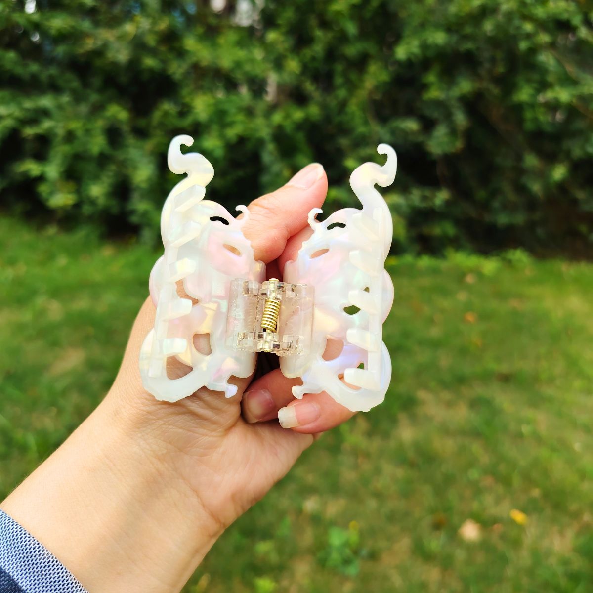 白章鱼毛爪