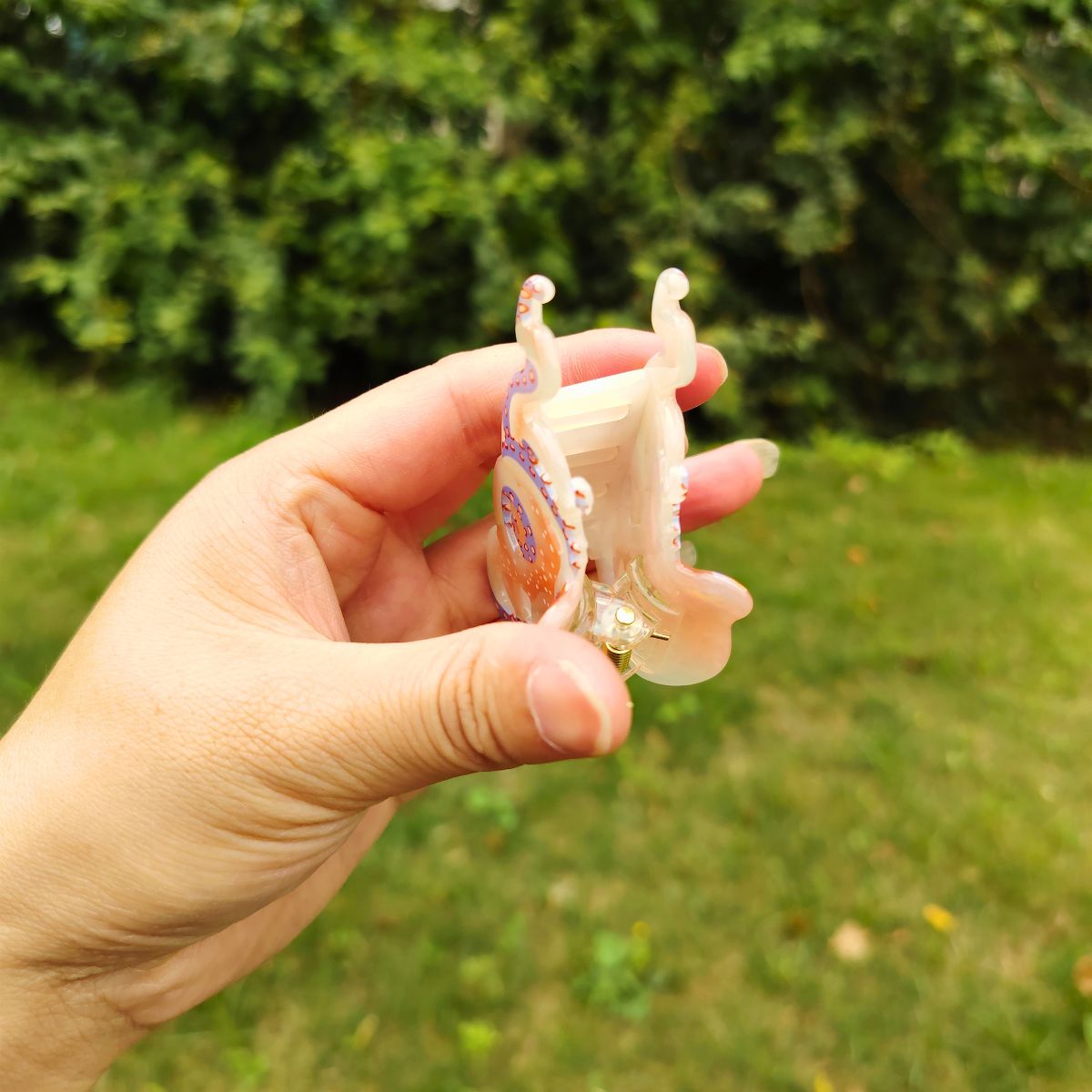 白章鱼毛爪