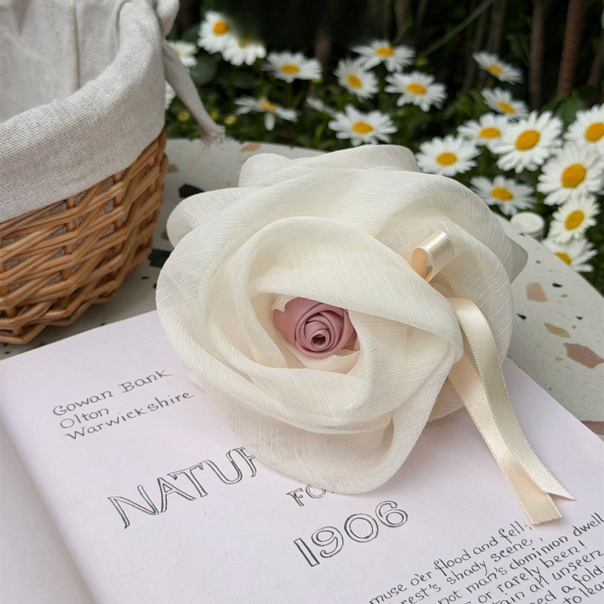 French 3D Rose Mesh Hair Claw