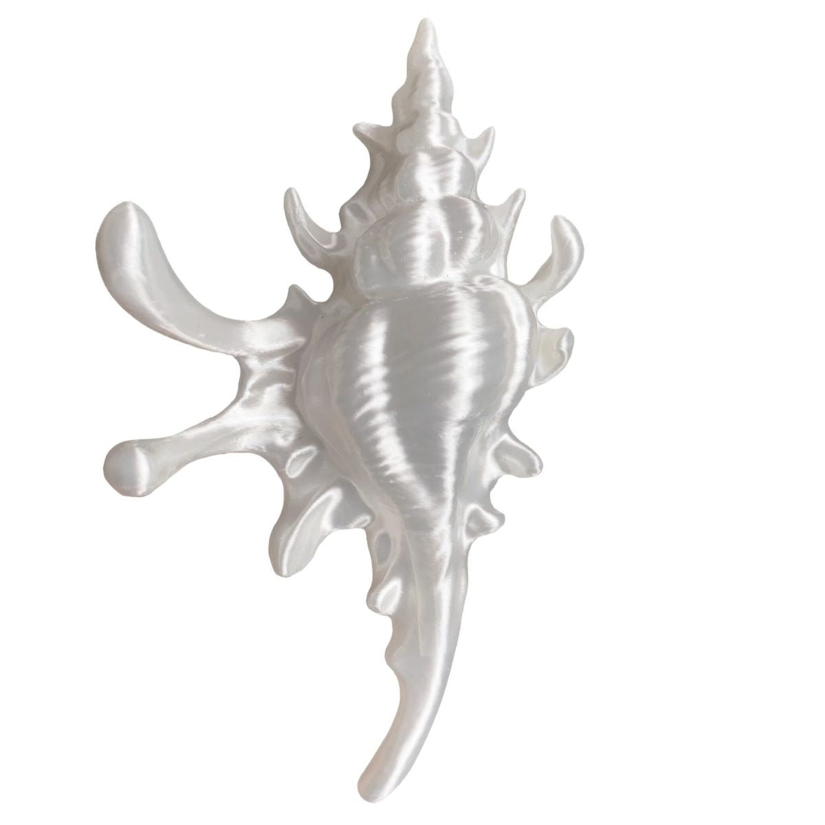 Jumbo 3D-Printed Conch Venus Hair Claw
