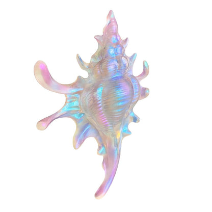Jumbo 3D-Printed Conch Venus Hair Claw