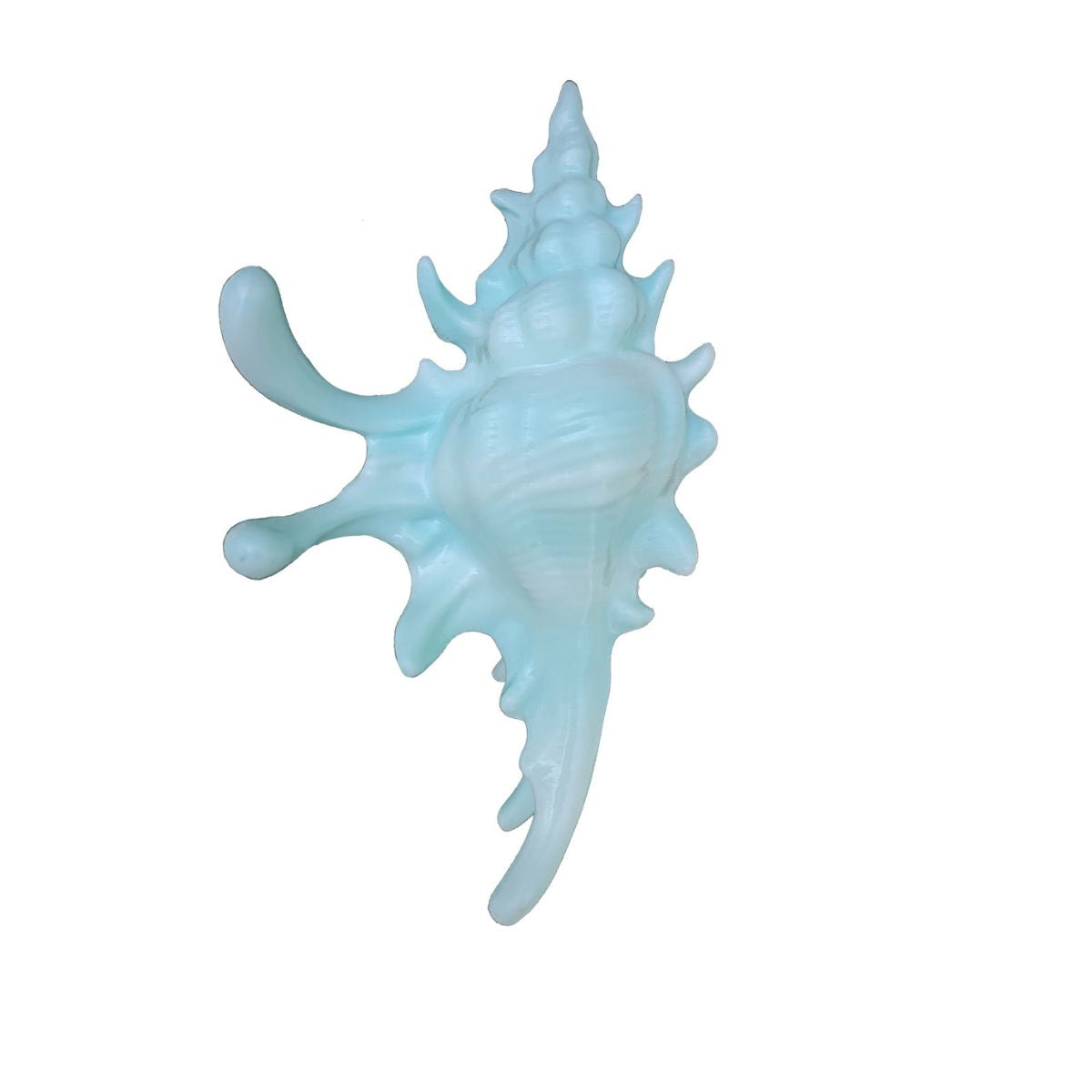 Jumbo 3D-Printed Conch Venus Hair Claw