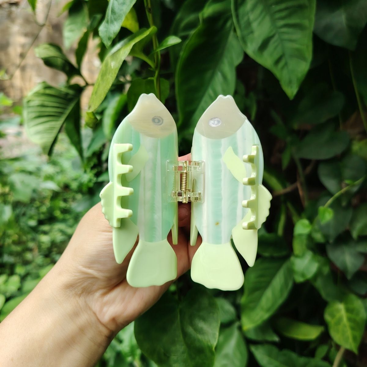 西瓜美发爪丨NueShiny