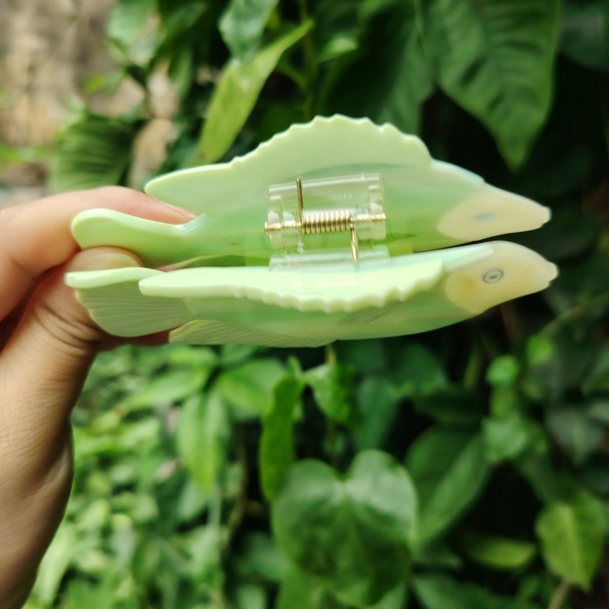西瓜美发爪丨NueShiny