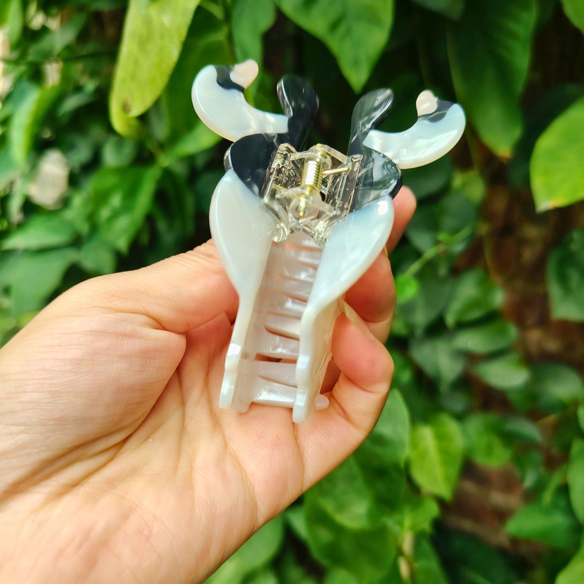 西瓜美发爪丨NueShiny