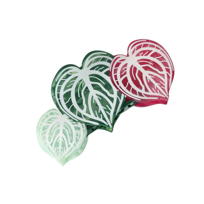 Pince à cheveux Beauty Watermelon | NueShiny