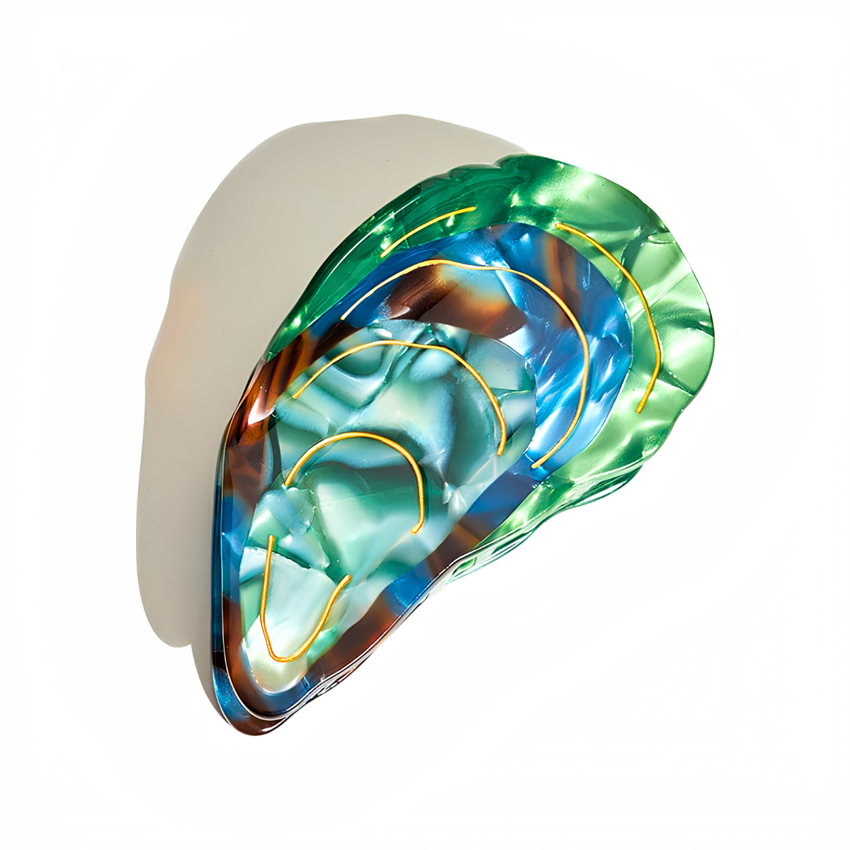 Medium Mussels Hair Claw Clips