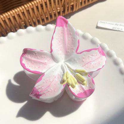 西瓜美发爪丨NueShiny