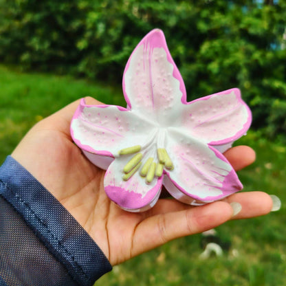 西瓜美发爪丨NueShiny