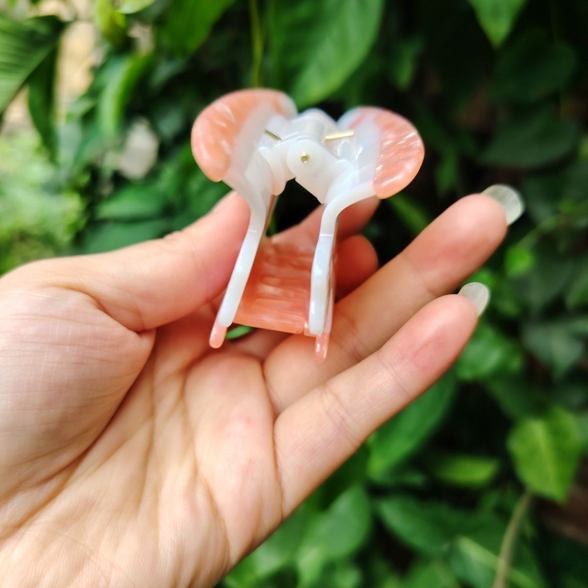 Pince à cheveux Beauty Watermelon | NueShiny