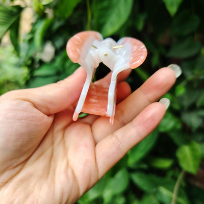Pince à cheveux Beauty Watermelon | NueShiny