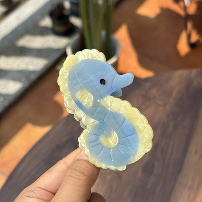 珍珠白水母巨型毛爪