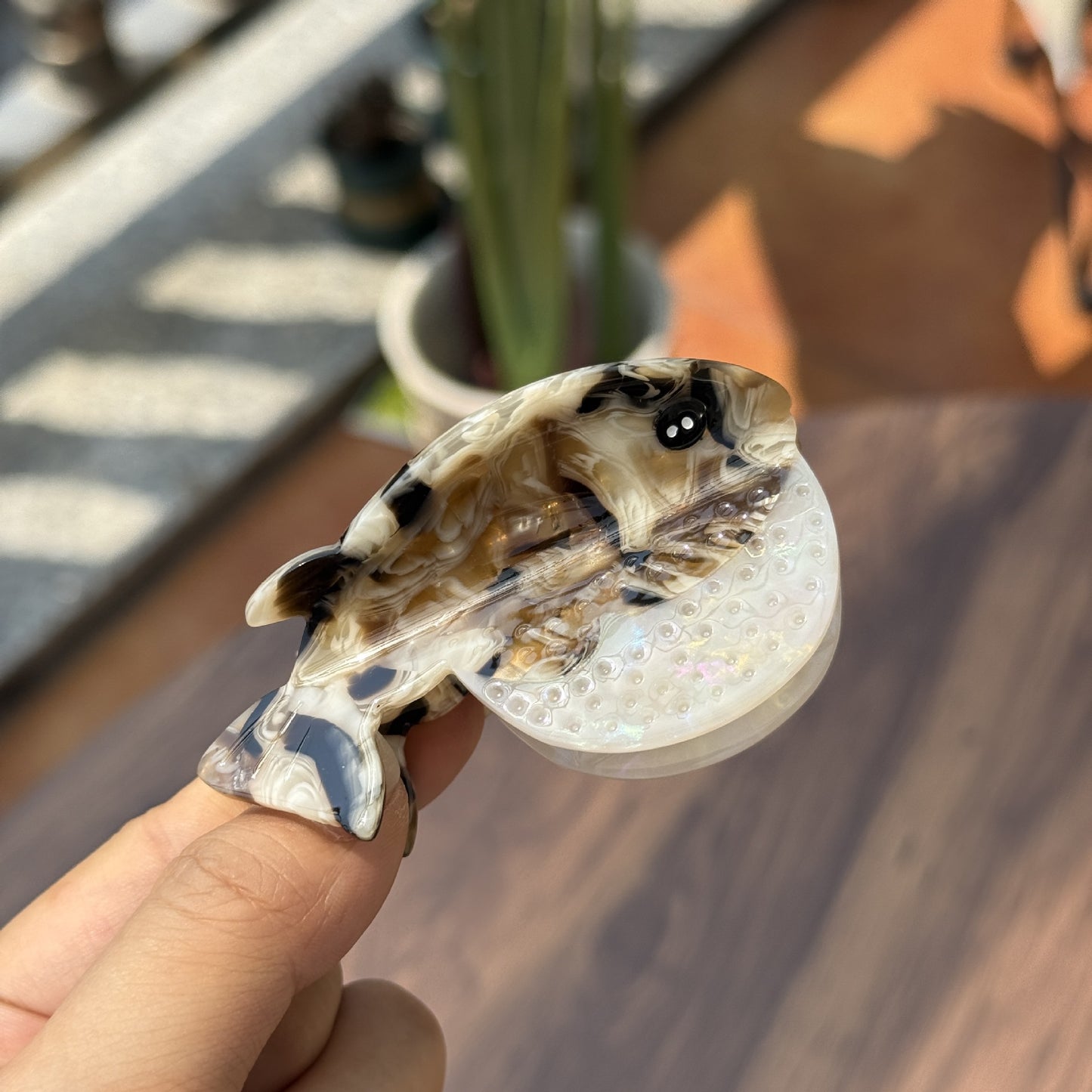 珍珠白水母巨型毛爪