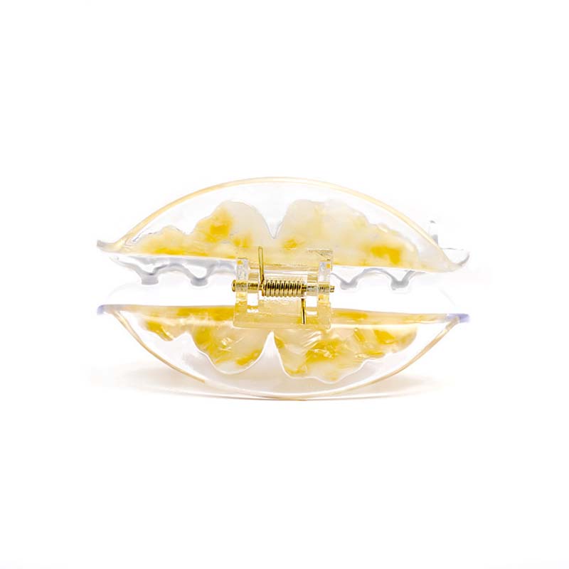 Medium Ginkgo Leaf Hairpin