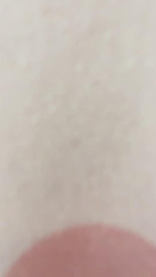 Pig  Cow  Farm Animal Crossbody Phone Bag